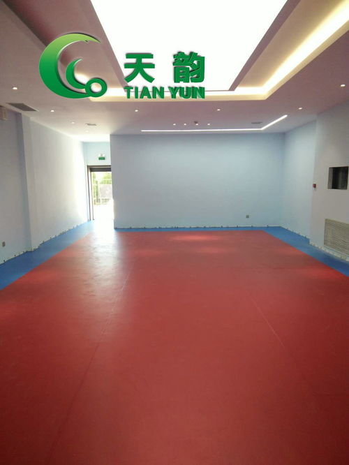 遼寧天韻塑膠地板批發(fā)運(yùn)動(dòng)塑膠地板批發(fā)